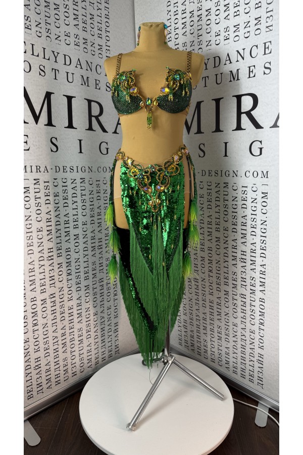 Professional bellydance costume Classic 485A_1
